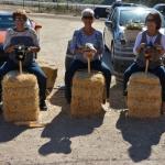 Cambria_0420 (November 01, 2013)